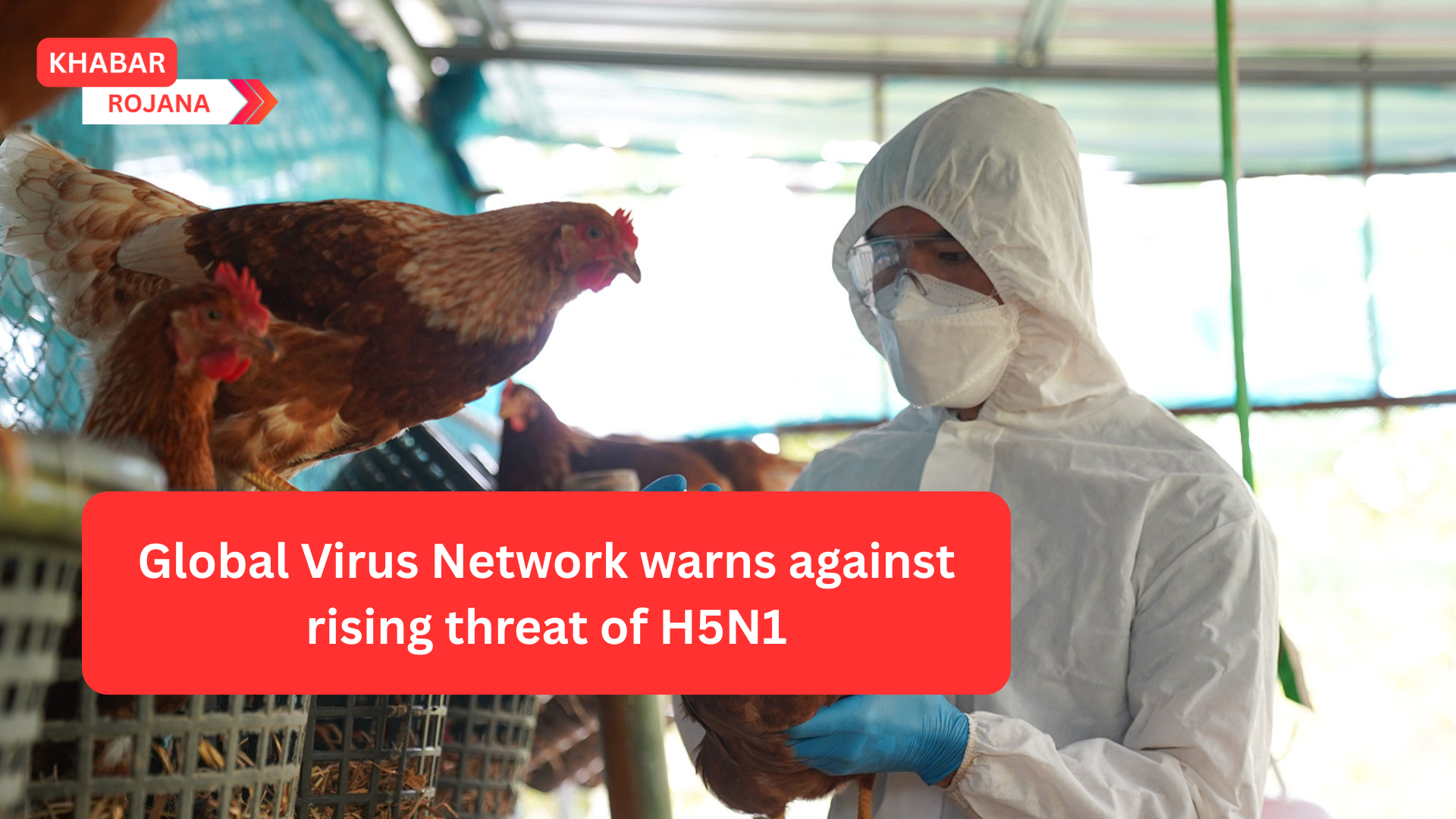 The Global Virus Network (GVN), comprising virologists from over 80 centers across 40 countries, has issued an urgent call to action regarding the escalating threat of the H5N1