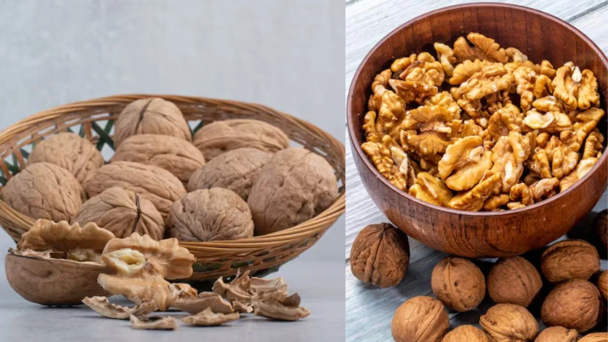 कश्मीरी अखरोट बनाम कैलिफोर्नियाई अखरोट: कौन सा बेस्ट है? कौन है ज्यादा फायदेमंद?