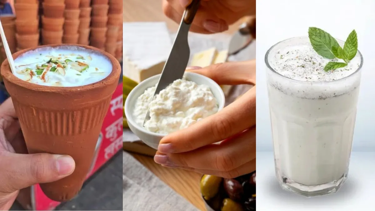 आयुर्वेद में छाछ, दही या लस्सी क्या है ज्यादा फायदेमंद, पाचन के लिए है अमृत समान, जानें इनके फायदे और नुकसान