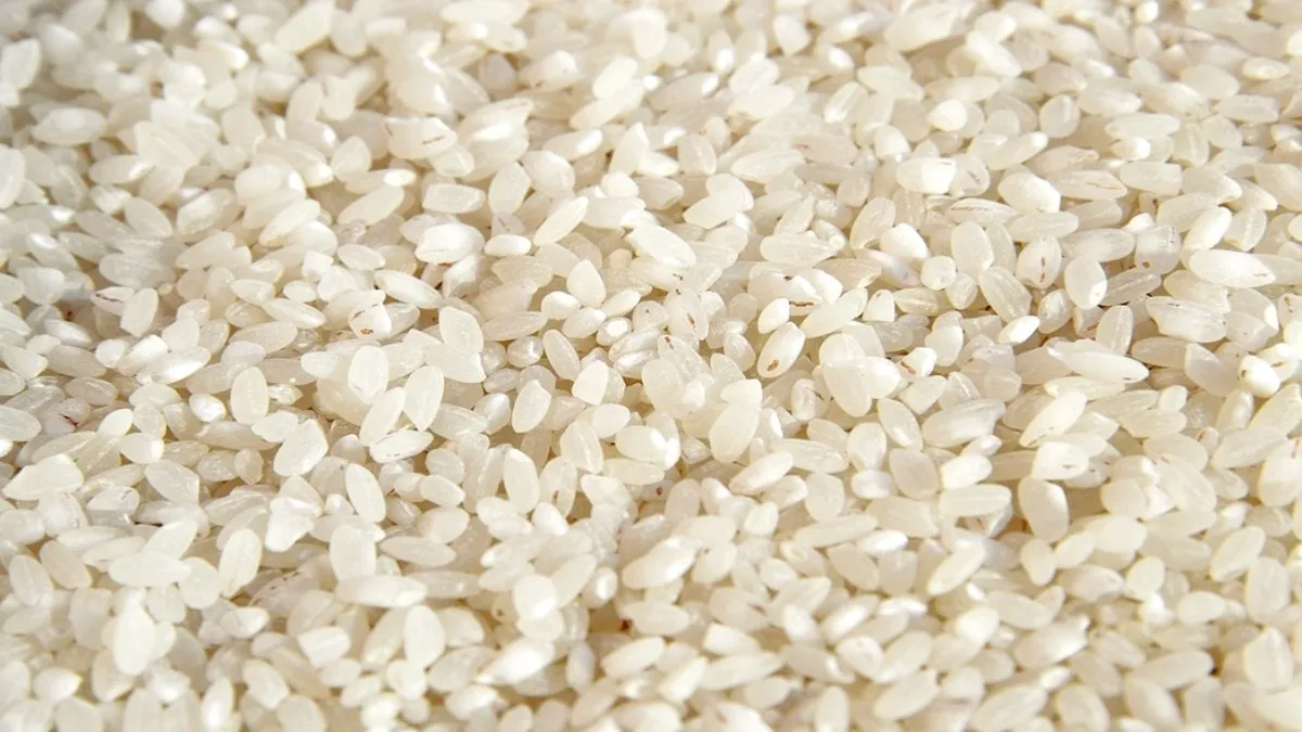 टूटे चावल पर सरकार का बड़ा फैसला, PDS में कटौती, एथेनॉल सेक्टर को मिलेगा 90 लाख टन अनाज