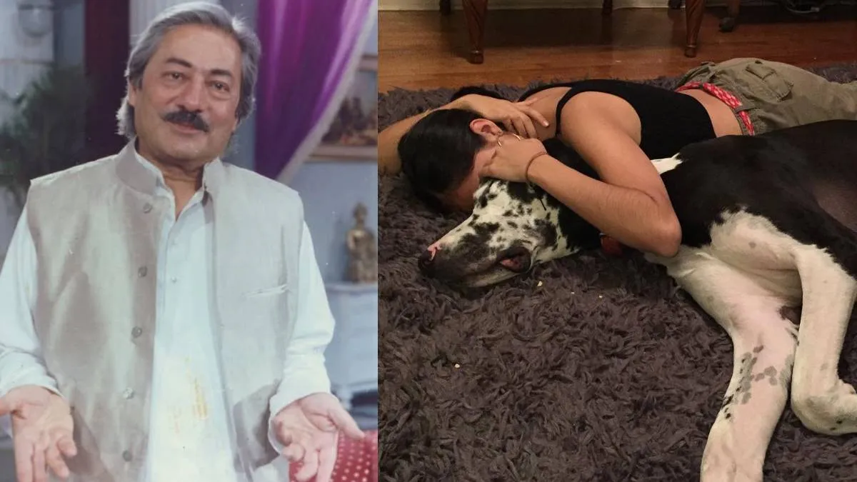 टैलेंट का खजाना है दिग्गज अभिनेता सईद जाफरी की बेटी, बॉलीवुड नहीं हॉलीवुड में जमाई धाक, खूबसूरती से नहीं हटेगी नजर