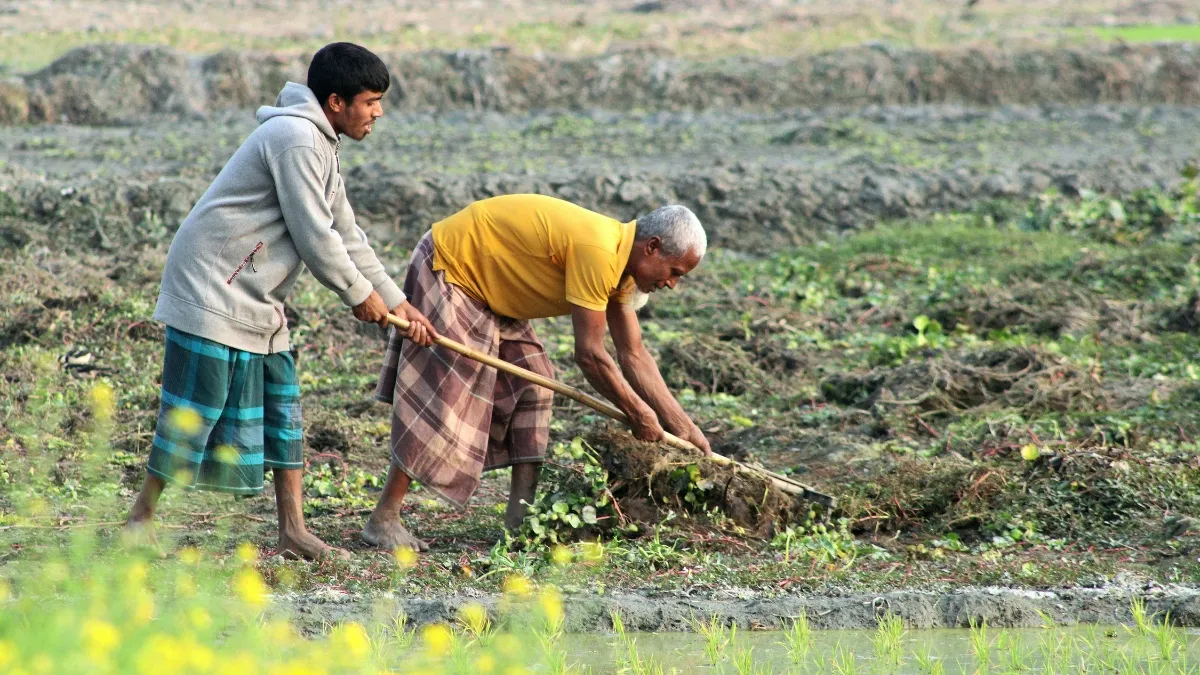 Income Tax Rule: क्या खेती की जमीन बेचने पर भी देना होता है टैक्स? जान लीजिए नियम और टैक्स बचाने के तरीके