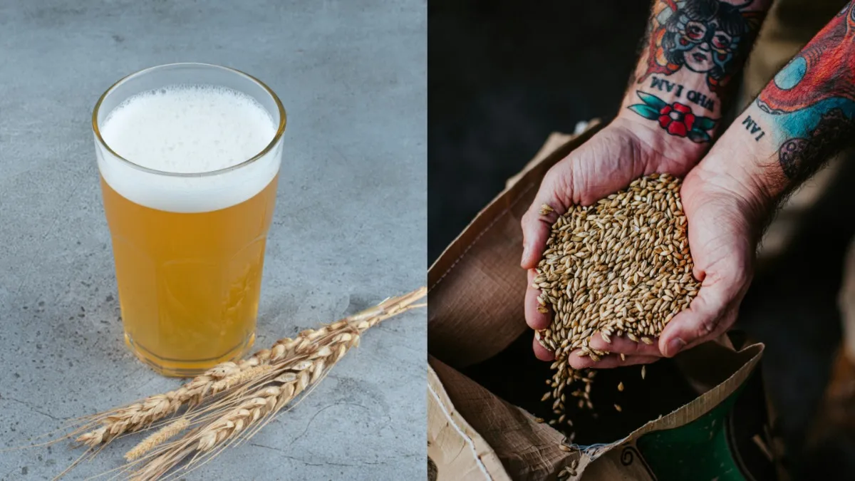 सुबह खाली पेट जौ का पानी पीने से क्या होता है? जानें इसके फायदे और सेवन का सही तरीका