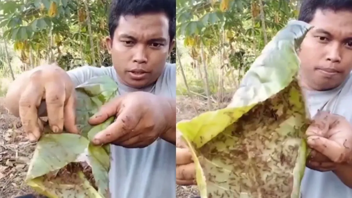 इस आदमी की हरकत देख आपको अपनी आंखों पर यकीन नहीं होगा, देखें वायरल Video