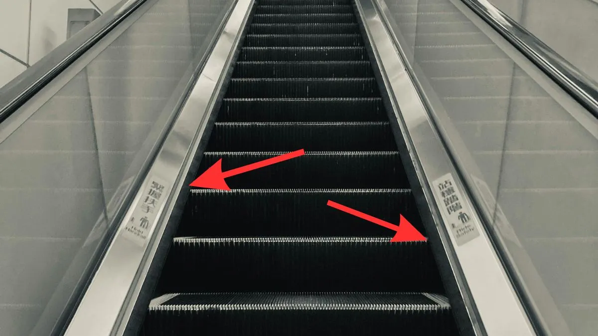 एस्केलेटर के किनारों पर वो ब्रश क्यों लगे होते हैं? किसी को नहीं पता होगा इसका कारण