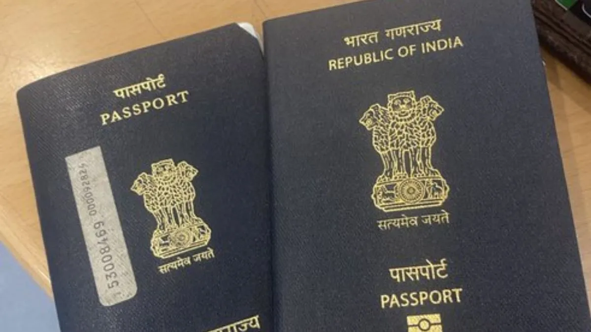 जर्मनी में पासपोर्ट के काम में देरी के बाद शख्स को आई भारत की याद, तारीफ में जो कहा; जरूर पढ़ें